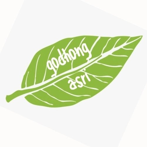 GODHONG ASRI